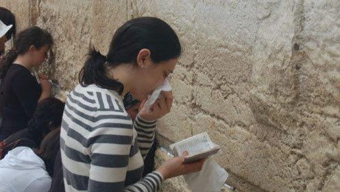 娱乐吃瓜君粉丝,揭秘幕后故事与精彩瞬间  第3张